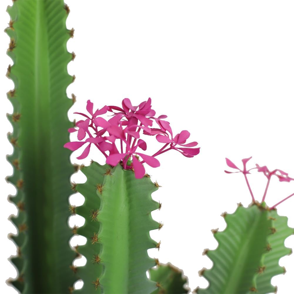 IDEALHOUSE Cactus Artificial 91cm En Maceta Planta Artificial Para Oficina