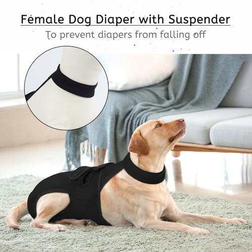 Image of Lelepet Female Dog Diapers with Suspenders, Washable & Reusable Black S | Adjustable and absorbent dog diapers for heat cycles, incontinence, and senior dogs. Comfortable all-day fit. Pet panties