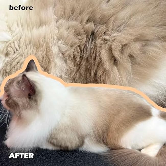 Cat Steam Brushes for Shedding, 4 in 1 Rechargeable Steam Brush for Cats and Dogs,Grooming Comb with Spray-1pv2Cf17