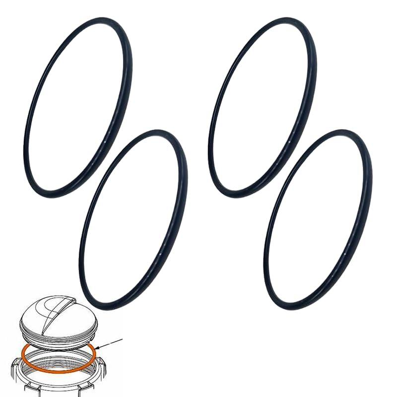 YMHYJY fits CLX200K Pool Chlorinator Lid O-Ring for Hayward CL200/CL220 (4 Pack)