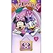 Minnie's Bow-tique Door Banner