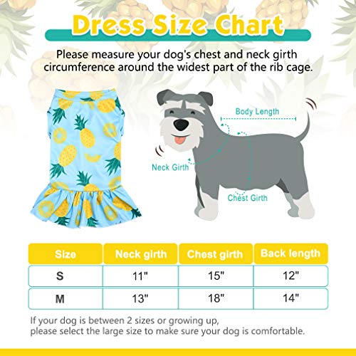 EXPAWLORER Dog Dress for Small Dogs - Soft Breathable Dog Spring Clothes, Cooling Dog Shirt Skirt for Summer, Sleeveless… - Image 2