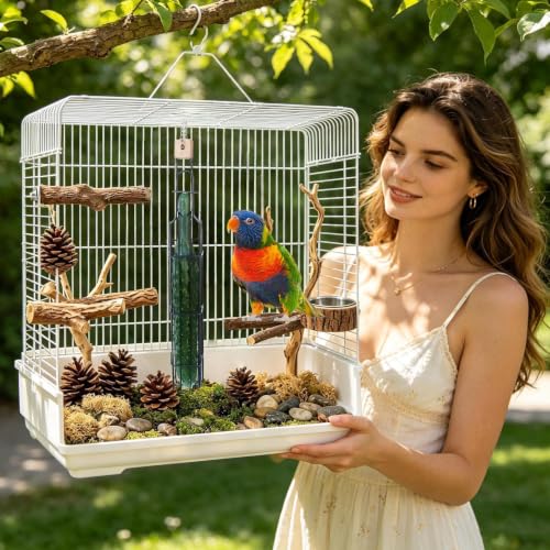 Foraging oiseaux pour cage évite l'ennui des perruches - 3
