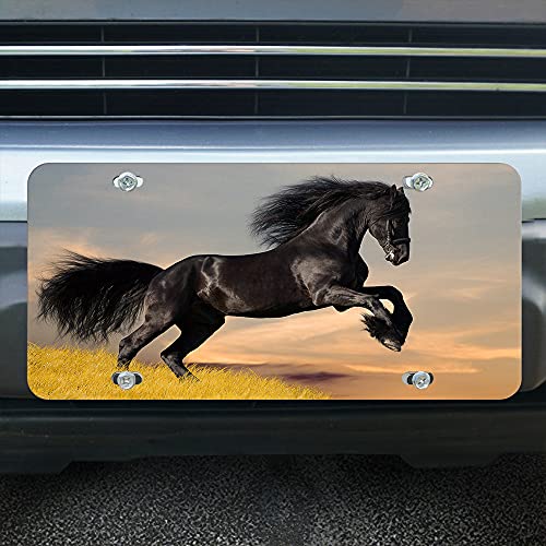 Lefolen Front License Plate Covers Black Horse Gallop Sunrise,Nature Animal Mane Herd Grassland Jump Sunset Auto Car Tag Vanity Plates Aluminum Novelty Metal Plate For Men Woman 6" X 12" #TOP3