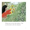 Oxford Reading Tree: Level 5: More Stories C: Pack of 6 Paperback January 1, 2011
