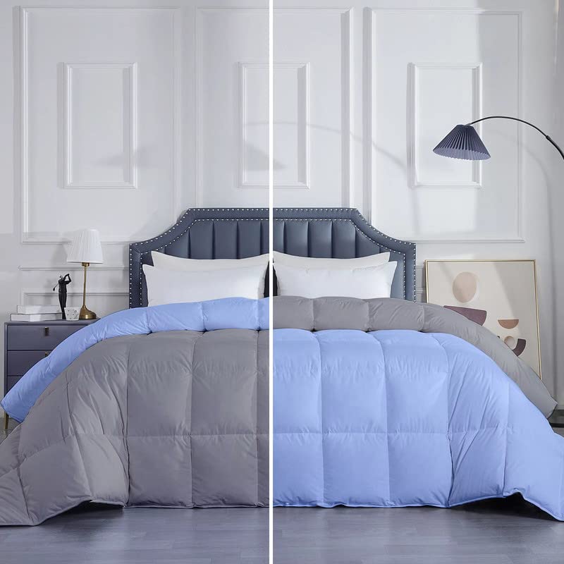 Razzai microfiber MammaYo Down Alternative Soft Quilted 300 GSM All Weather Comforter (90" x 100" Inches/228cm x 254cm) - Double Bed Comforters|Silver/Sky Blue| TC - 400