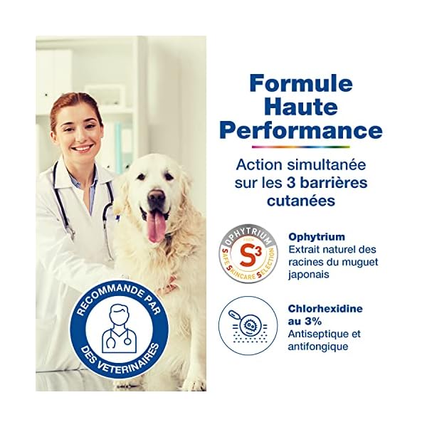 Douxo S3 Ceva Pyo FL Shampoo für Hunde und Katzen – Bild 5