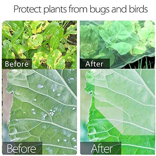 Sunshine smile 3 x 4 m tuinnet, groentennet, plantenbeschermingsnet, beschermingsnet voor tuin, groentetuin, vijvernet, grofmazig, groentebloemen, beschermingsnet, tuin, fijnmazig insectennet - Image 4