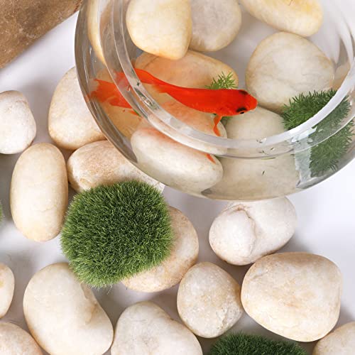 Ausluru 11LB Stones Pebbles River Rocks, 100% Natural Hand-Picked Premium Decorative Pebbles, Ideal for Garden Landscaping, Home Decor, Aquariums, Painting, Crafting and Gifts, Cream White - Thumbnail 5