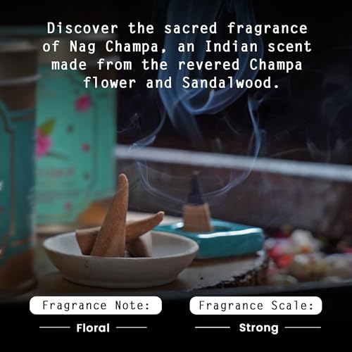 Image of Nyassa Nag Champa Highly Scented Incense Cone | Pure Long-Lasting Dhoop Cones for Pooja, Meditation, Home Fragrance | 40 Dhoop Cones in Tin Box (100g)