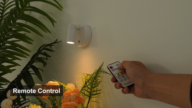 Image of TaoFiaCo Spotlight Indoor, Wireless Battery Operated with Remote,Uplight Indoor Down Light for Picture on Wall, Plant Spotlight Dimmable Timer, Mini Ceiling Lights Painting for Trees Plant