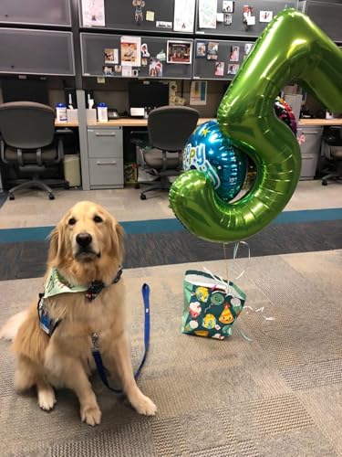 Green number 10 balloon 40 Inch helium balloon tin foil polyester film large digital 10st birthday party decoration supply holiday party anniversary commemorative supplies - Image 3