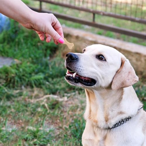 Socluer Backmatte Hundekekse 2 Stück Silikonformen für Hundeleckerlies und Katzenleckerli, Hundekekse Backform für DIY Keks, Schokolade, Kekse, Eiswürfel, Süßigkeiten