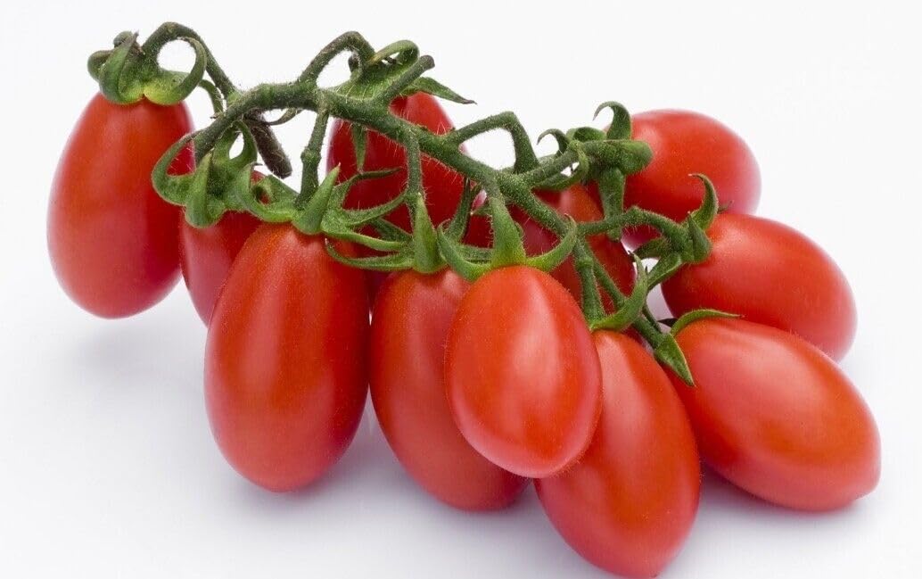 12x La Rosina Pomodorino Datterino di Collina, Pomodorini Italiani, lattina da 400g