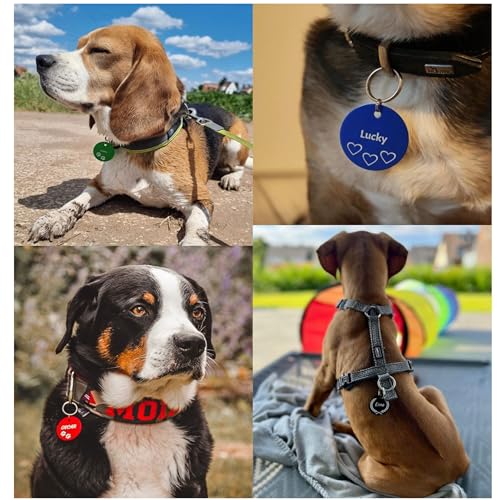 Unikat Branding | Erkennungsmarken im Singlepack | Hund, Katze und Herrchen | Hundemarke personalisiert | Beidseitig mit Gravur | rund | Silber 30mm