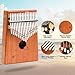 Kalimba 17 Keys Thumb Piano with Protective Box, Tuning Hammer and English Study Instruction. Portable Mbira Wood Finger Piano, Gifts for Kids and Adults Music Lovers