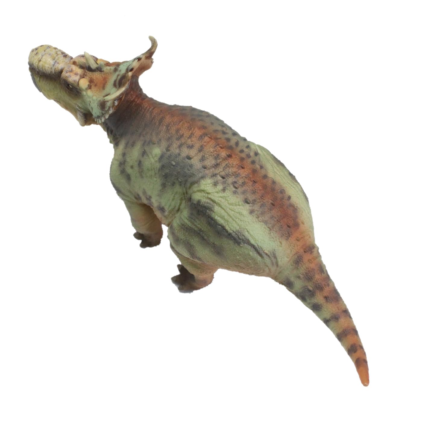AMITD Pachyrhinosaurus (GuoSheng)