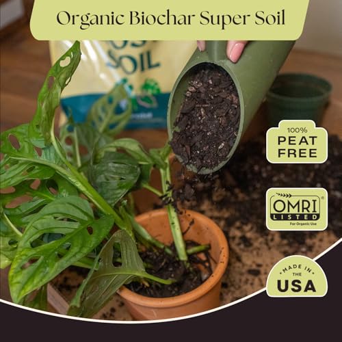 Image of Rosy Soil Aroid Soil Mix, Chunky Biochar Potting Mix, 4 Quarts | For Monstera, Philodendron, Anthurium & Tropical Plants - Peat-Free, Microbially Active, Superior Aeration & Drainage