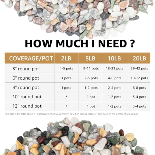 Image of 2lbs Natural Gravel Pebbles for Succulents and Cacti, 1 /5 Inch Decorative River Stones - Perfect for Vases, Aquariums, Terrariums, and Outdoor Gardening, Mixed Colors (Colorful, 2 Pounds)