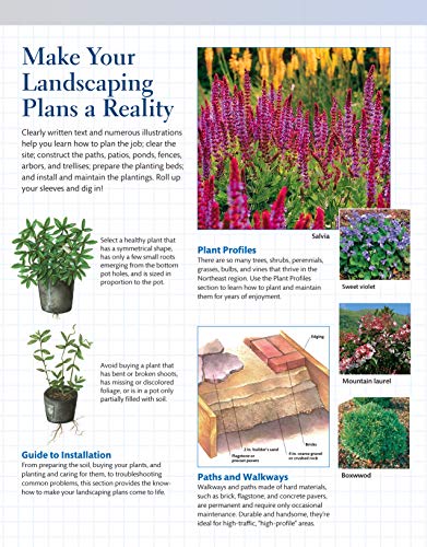 Northeast Home Landscaping, 3rd Edition: Including Southeast Canada (Creative Homeowner) 54 Landscape Designs, 200+ Plants & Flowers Best Suited to CT, MA, ME, NH, NY, RI, VT, NB, NS, ON, PE, & QC - Image 3