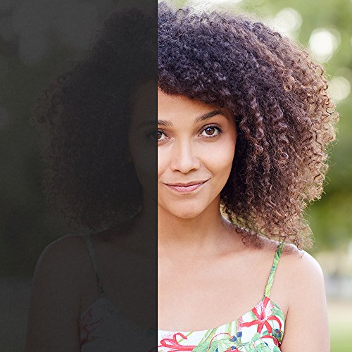 Gila Privacy Black Static Cling Residential Diy Window Film No Glue No Adhesive 3Ft X 6.5Ft (36In X 78In) - Pb78 #TOP3