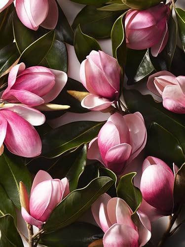 Opiniones de Ralph Lauren Woman comprados en linea. 6 Imagen adicional