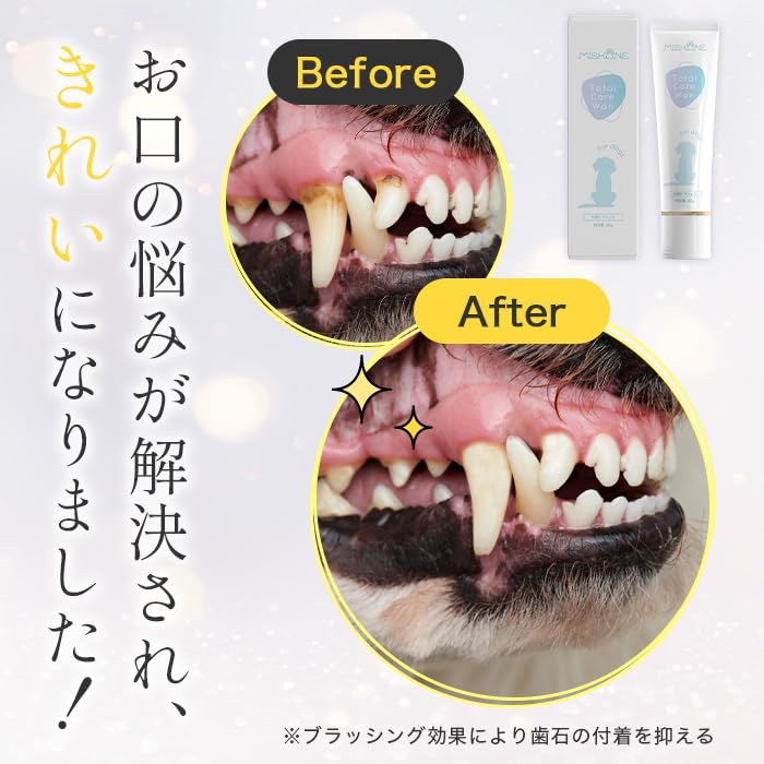 Amazon.co.jp: ミシュワン MISHONE トータルケアワン 犬 歯磨き 歯磨き