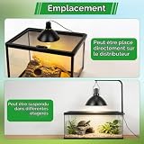 Eirolace lampe chauffante dôme 20,5 cm ampoule E27 100 W photo 6
