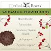 Herbal Roots Organic Men's Health Supplement Bundle, Saw Palmetto, 8 Blend Mushrooms, Hawthorn, Heart and Prostate Support