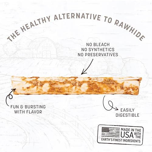 Earth Animal No Hide Large Chicken Flavored Natural Rawhide Free Dog Chews Long Lasting Dog Chew Sticks | Dog Treats for Large Dogs | Great Dog Chews for Aggressive Chewers (1 Pack) Earth Animal No Hide Large Chicken Flavored Natural Rawhide Free Dog Chews Long Lasting Dog Chew Sticks | Dog Treats for Large Dogs | Great Dog Chews for Aggressive Chewers (1 Pack)