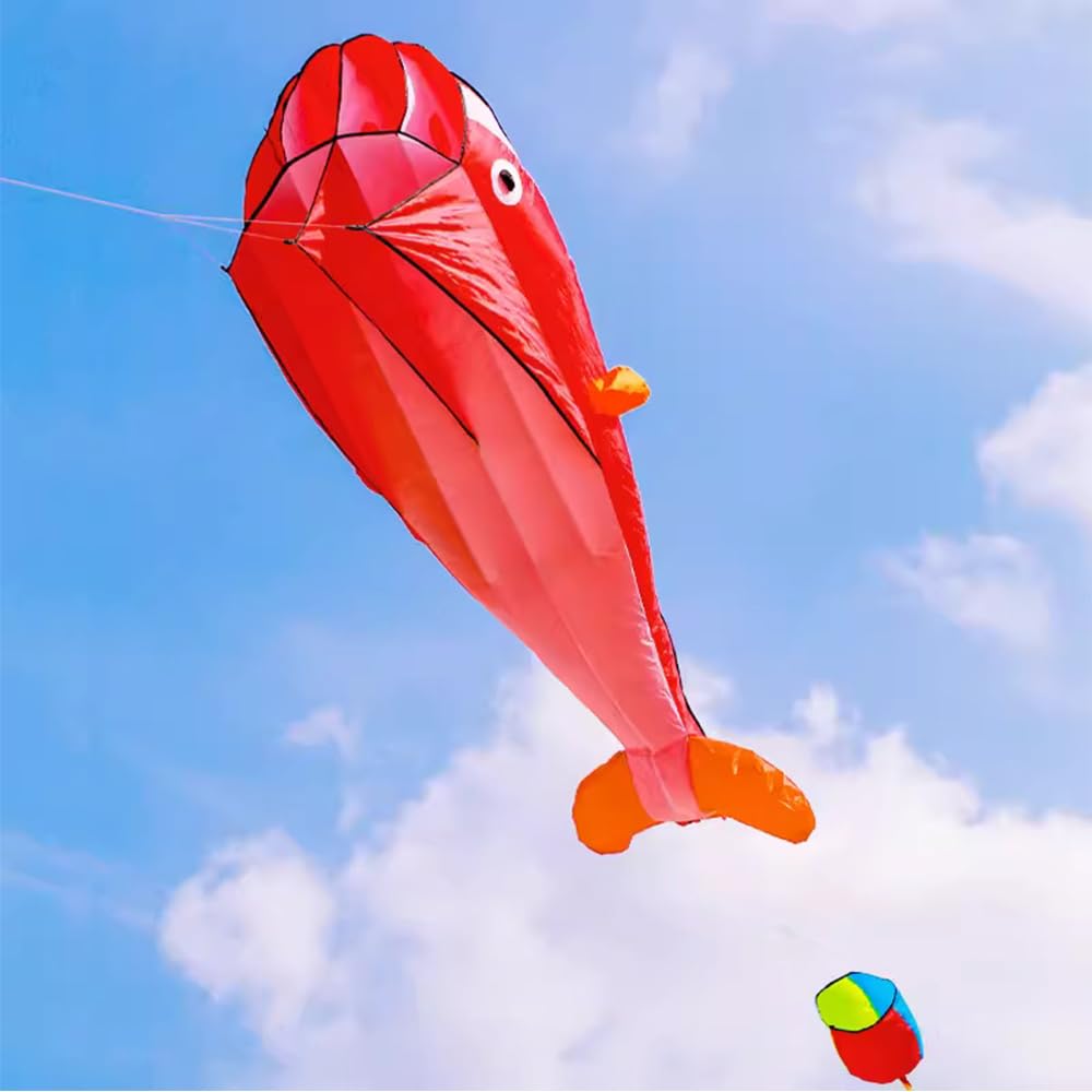 ZCBYBTKite Software Whale Flyer Kite with Long Colorful Tail Kite Kit with Automatic Locking Anti-Reverse Wheel Easy To Fly in Breeze
