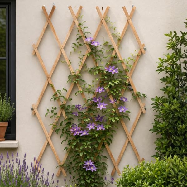 Garden Mile 6ft x 1ft Wooden Garden Trellis Heavy Duty Expanding Trellis Panels For Climbing Plants Outdoor Climbing Plant Support Ideal For Fence Wall Shed Plant Climber Frame