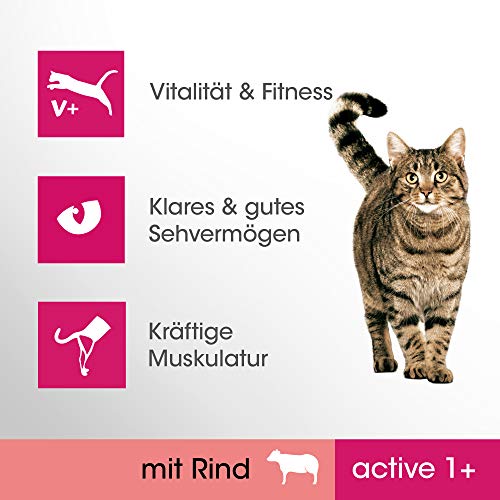 Perfect Fit Active 1+ – Trockenfutter für erwachsene, aktive Katzen ab 1 Jahr – Reich an Rind – Unterstützt die Vitalität – 4 x 1,4 kg