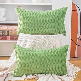 Madizz Pack of 2 Super Soft Velvet Decorative Cushion Covers with Texture Luxury Style Throw Pillow Cases Pillow Shell for Sofa Bedroom Apple Green 12x20 inch Rectangular