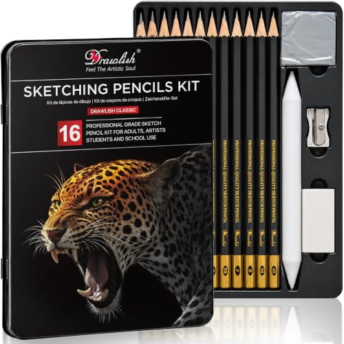 Drawlish Drawing Pencils for Artists 16-Piece Set (4H-10B) Metal Case