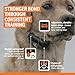 SportDOG FieldTrainer 425X - Remote Trainer Designed for Off-Leash Control & Training - 500-Yard Range - Waterproof - Quick Charge-Collar with 21 Levels of Static, Tone, & Vibration