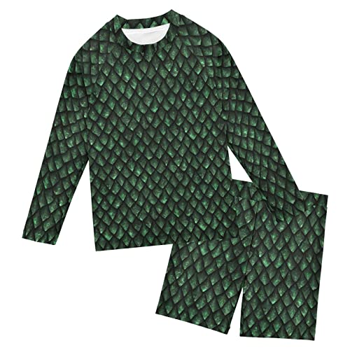 Dragon Scales Car Dino Boys Swimsuit Rash Guard Toddler Kids Long Sleeve Swim Shirt and Trunks 3-10T
