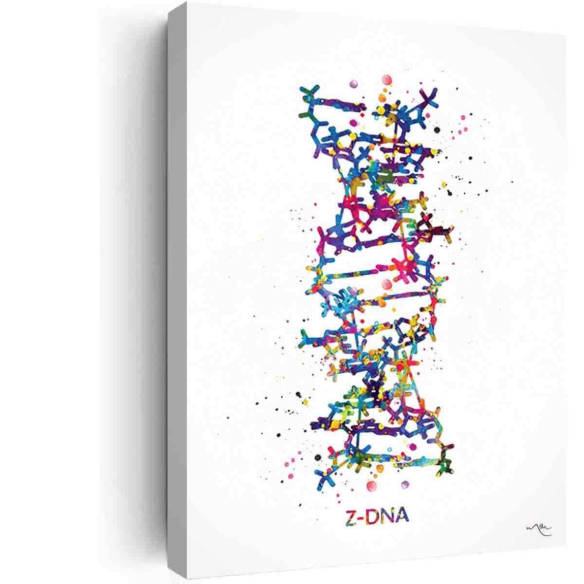 Room Decor For Teen Girls Bedroom Aesthetic,DNA Molecule Z-DNA Watercolor Print Medical Wall Art Nurse Gift Medical Art Science Art Clinic Gift Doctor Genetic Laboratory Biology-*