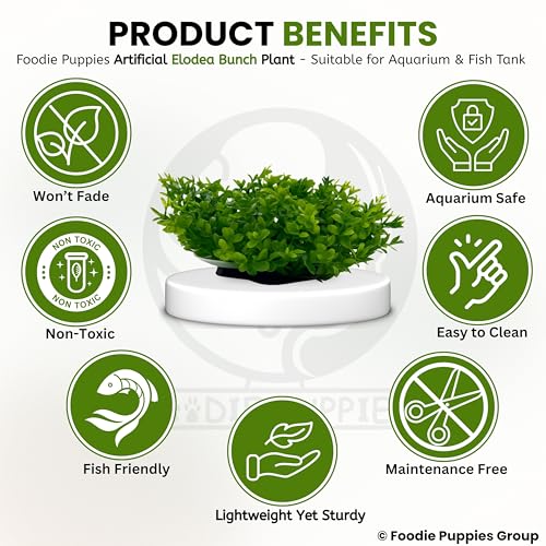 Image of Foodie Puppies Aquarium Plastic Plants with Resin Base - (Elodea Bunch Plant, Set of 2, 5 x 4 x 4 cm) for Fish Tank, Freshwater & Saltwater Natural Decor