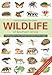 The Wildlife of Southern Africa