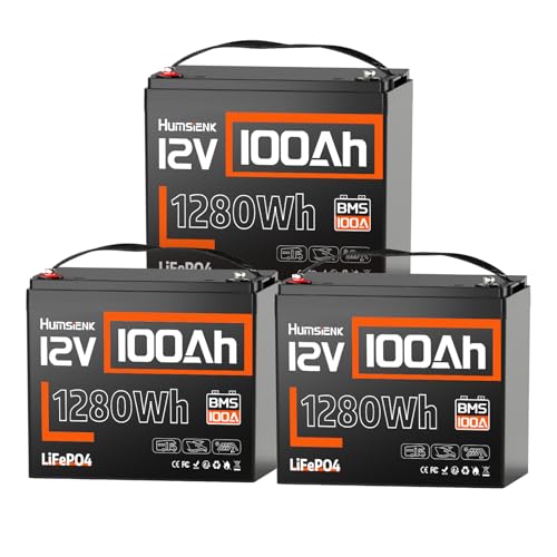 Image of HumsiENK 3Pack 12V 100Ah LiFePO4 Battery Lithium Built In 100A BMS Group 24