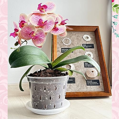 WDragon Clear Orchid Pot,11cm 14cm 17cm Plastic Plant Pots with Holes and Saucers,Nursery Pots for Orchid Repotting Kit (5 - Image 2