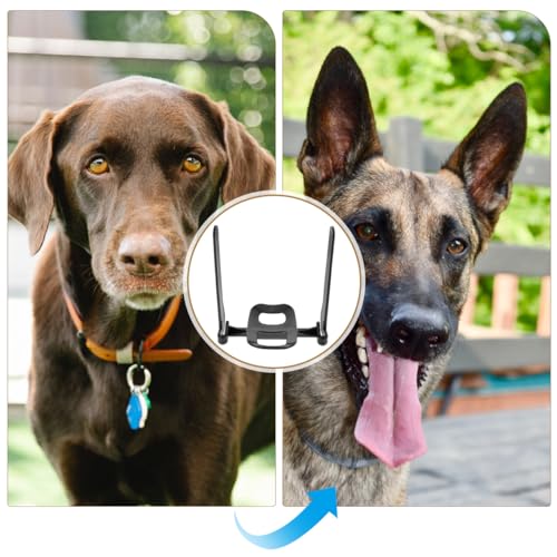 Image of Angoily Doberman Ear Posting Kit with Tape Correction Sticks Dog Ear Support and Standing Tool for Large and Small Dogs Care Device for Puppy Training