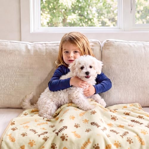 Image of Luciphia Dog Blanket 3 Pack, Soft Cozy Fleece Throw for Puppy Cat,23 inchx16 inch | Fuzzy Flannel Small Pet Blanket Washable, Cute Paw Print for Crate Car Bed. Puppy Essential,Cat Stuff Gifts,Small