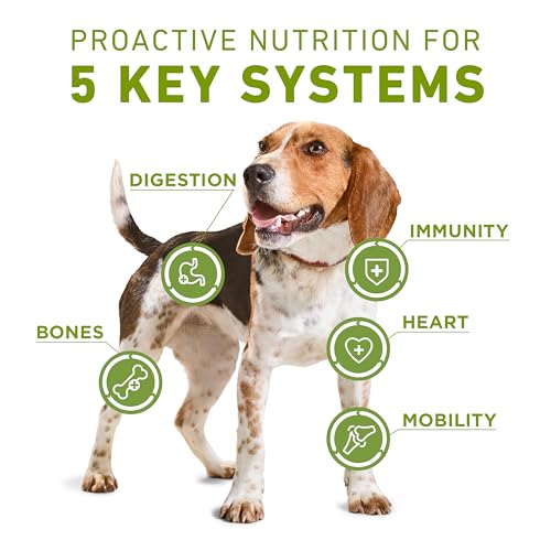 Purina ONE Plus Whole Body Support with Chicken Dry Dog Food, 16.5 lb Bag - image 2
