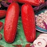 ungewöhnliche mädchennamen die Gurken sind weiß bis hellgrün , orange bis rot, wie sie reifen. Ursprünglich aus Südostasien sind diese Gurken sicher ein großer Hit, wo sie angebaut werden können.