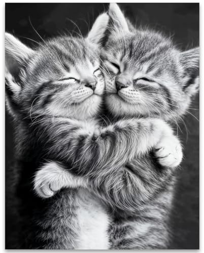 Bestest Friends Kittens Poster 11x14 Wall Art