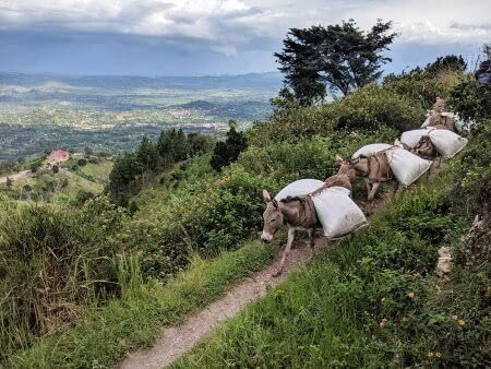 R[q[ 1kg EK_ EF] hL[i` R