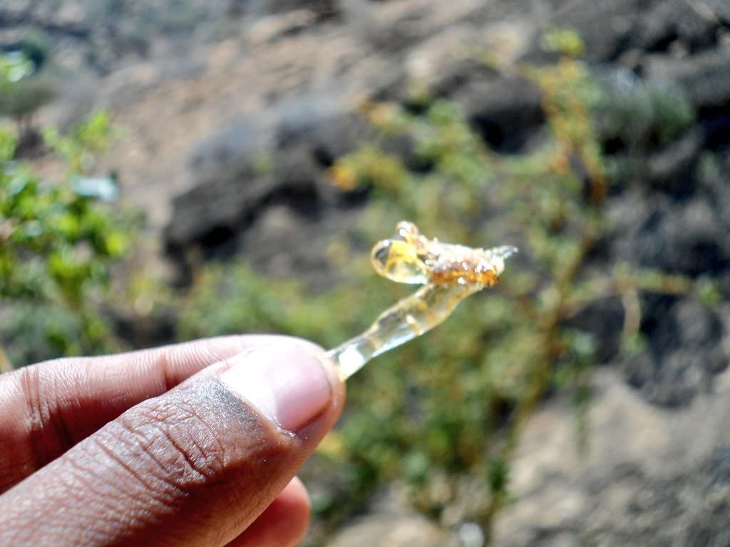 Incenso Lacrime di Somalia - Olibano in grani - 500g - Resina Naturale al 100% - Grani Grandi (0,5-3cm) - Boswellia Carterii - Somalia