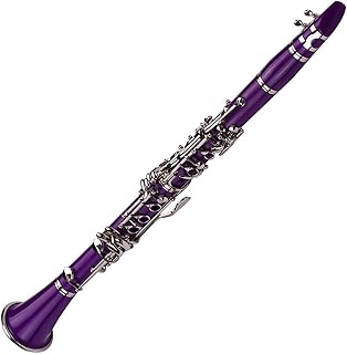 17-Key Professional Musical Instrument Clarinet Wood Bb Flat With Carry Case Clarinet for Beginner